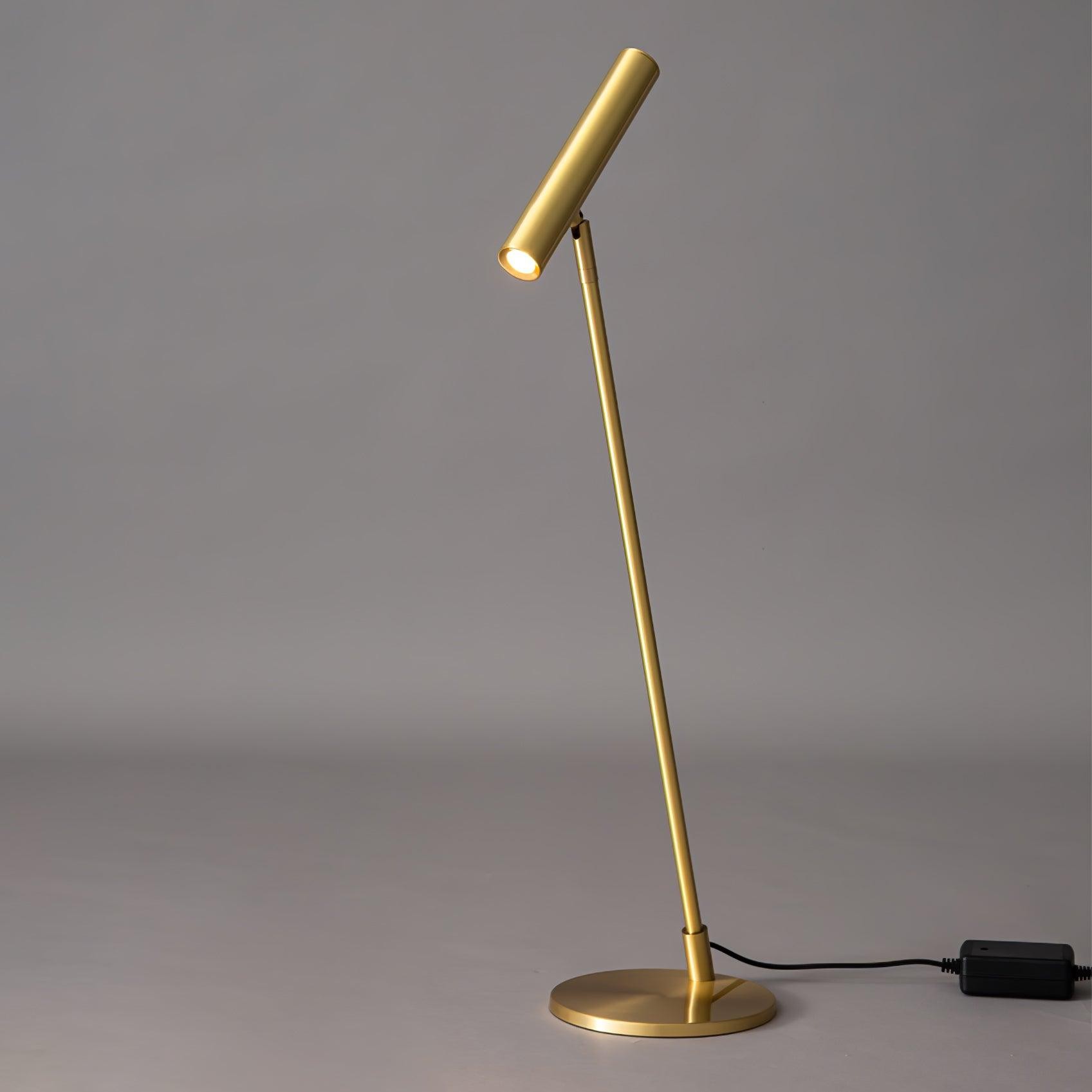 Modern Minimalist Brass Adjustable LED Floor Lamp M402