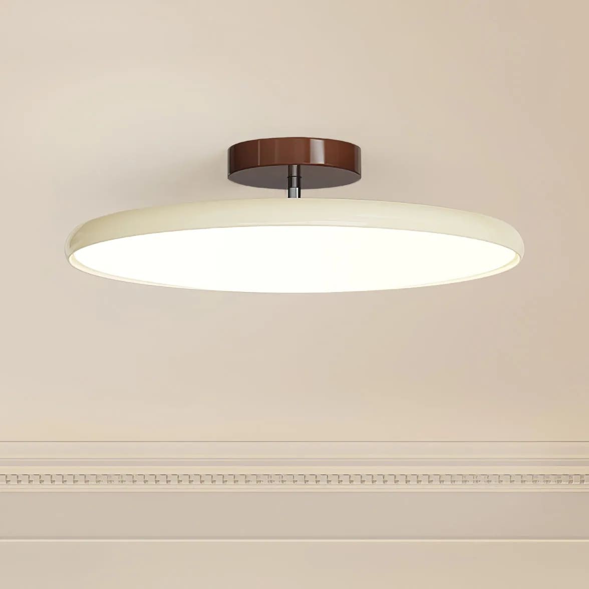 Modern Adjustable Disc Ceiling Lamp M266