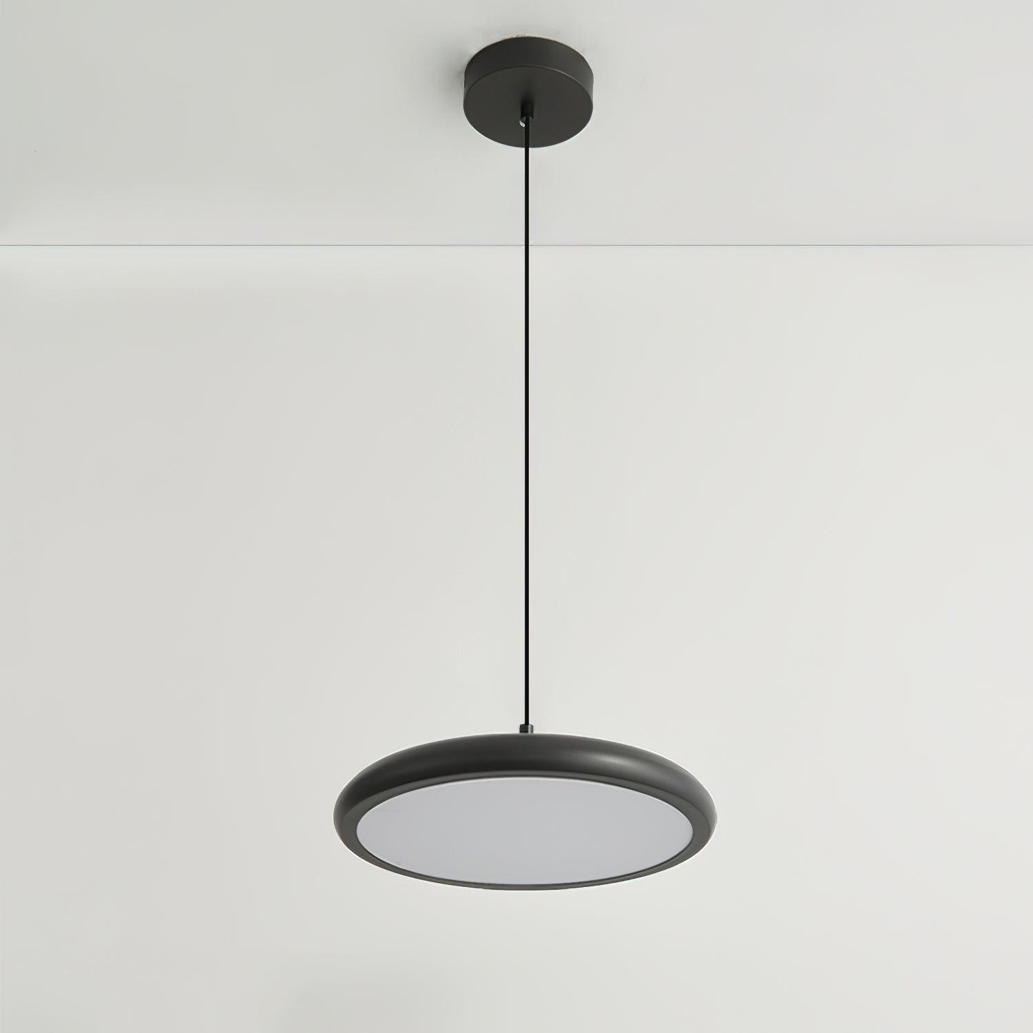 Thin Disc Pendant Lamp M404