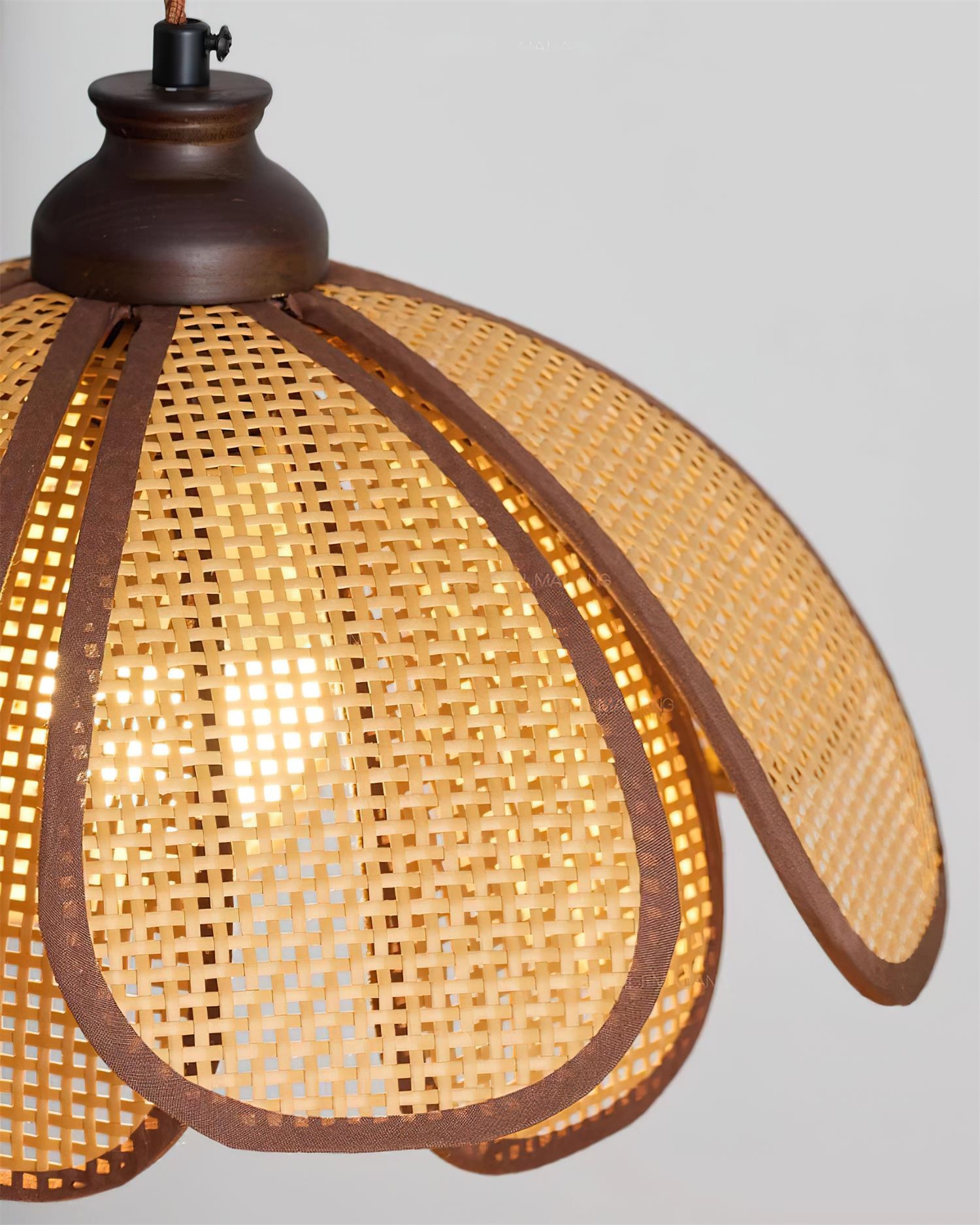 Capelina Pendant Lamp T1313