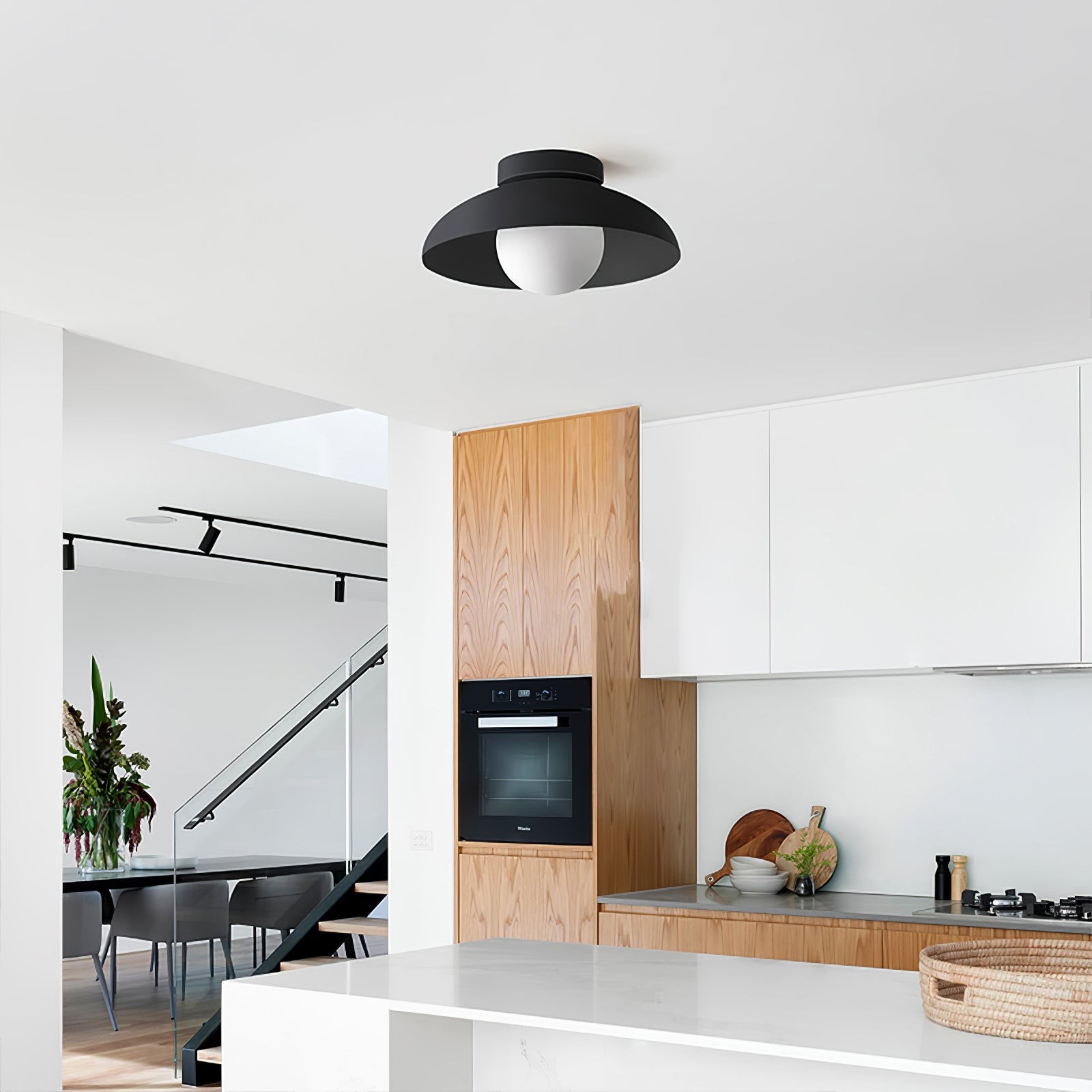Matte Black Glass Dome Ceiling Lamp M449