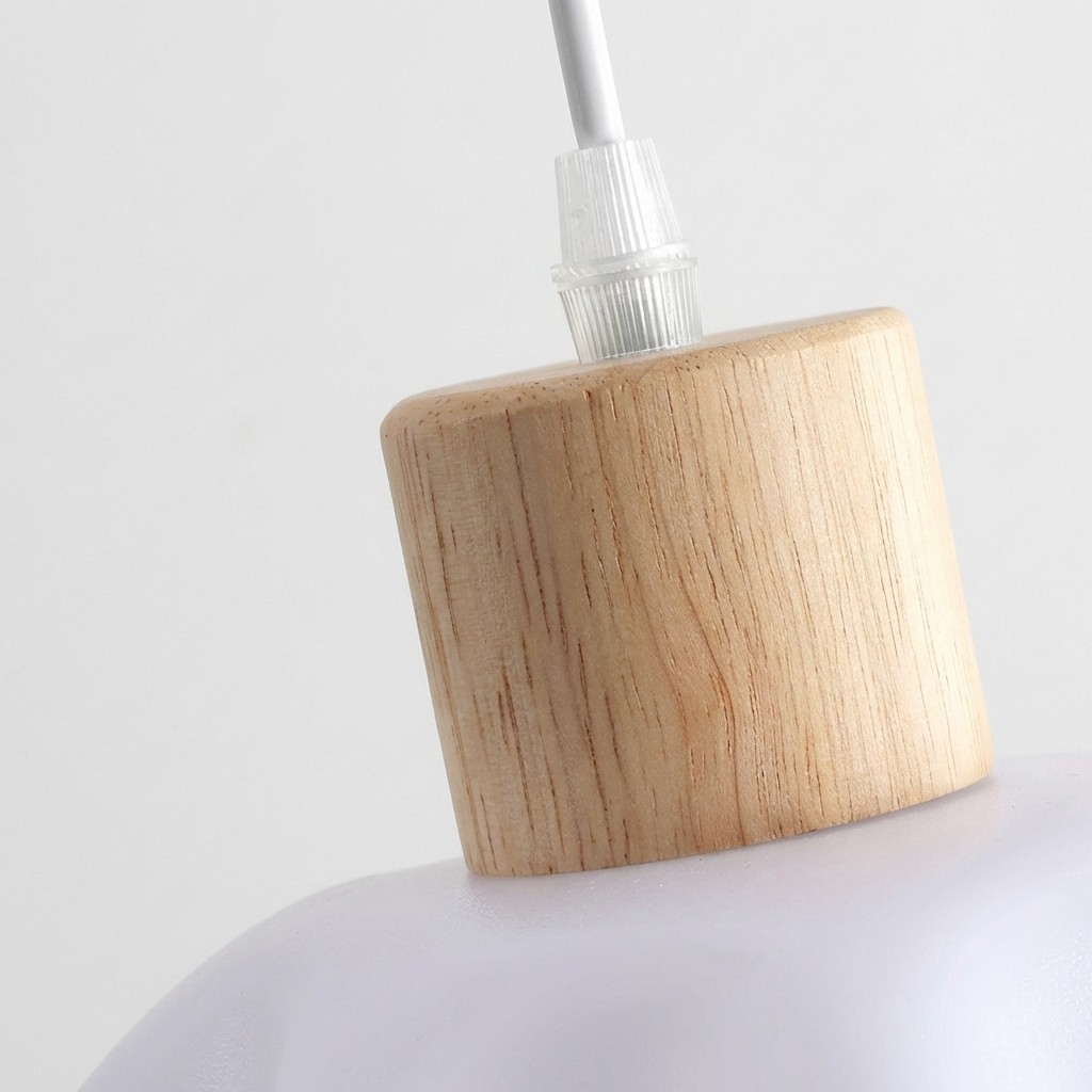 Petal Pendant Light - Modern Acrylic and Wood Dining Room S400