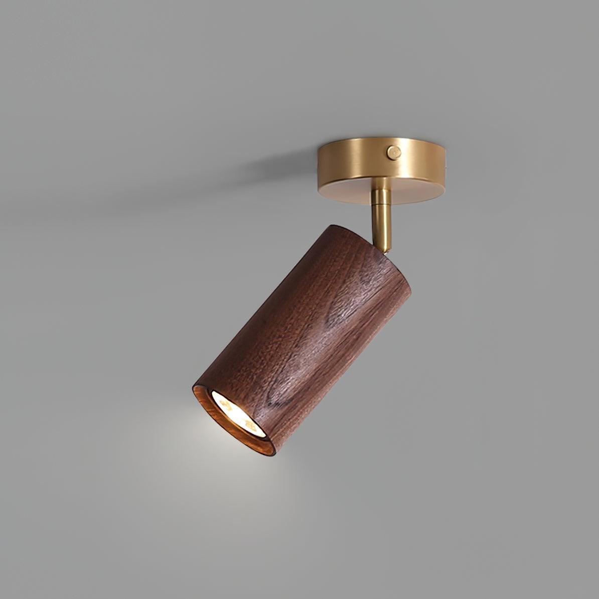 Fashion Wooden Modern Track Lighting M12