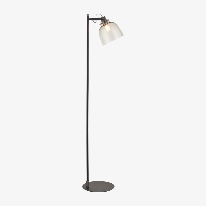 Readium Industrial Floor Lamp - Adjustable Glass Head Metal Base for Living Room and Bedroom T869