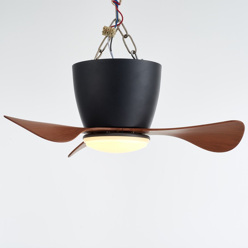 Ceiling Fan with Lights