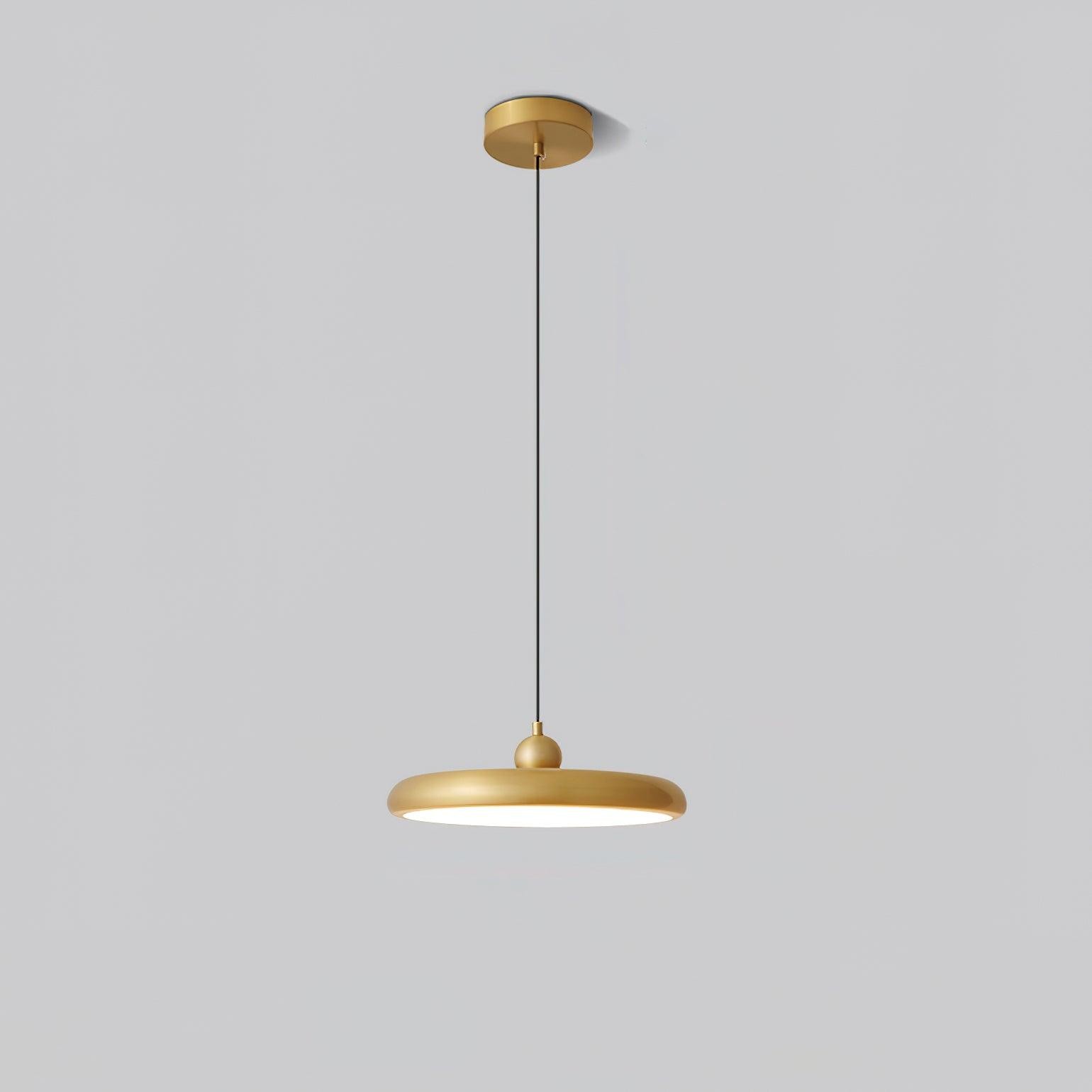 Thin Disc Pendant Lamp M404