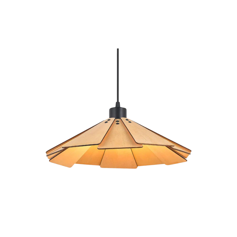 The Retro Revival Muto Pendant Light T2064
