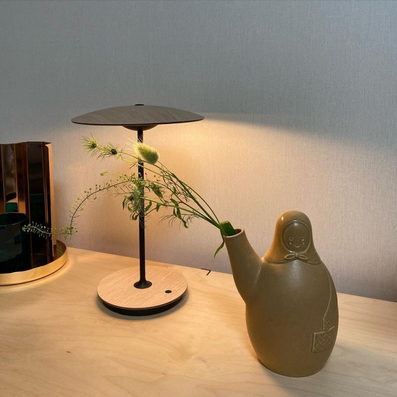 Indoor Portable GINGER 20 Table Lamp