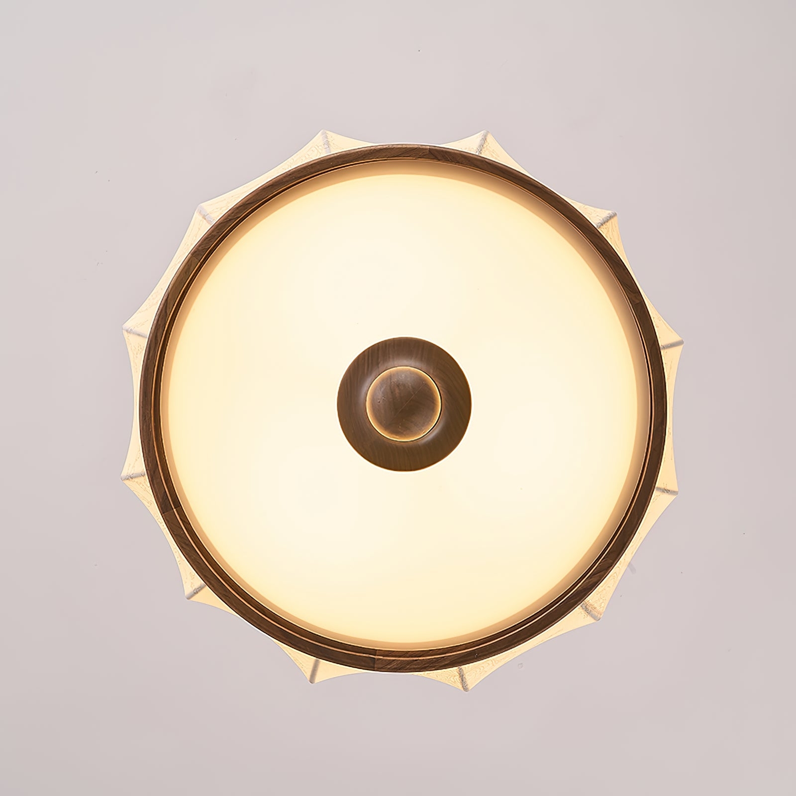 Harmony Pendant Lamp T1429