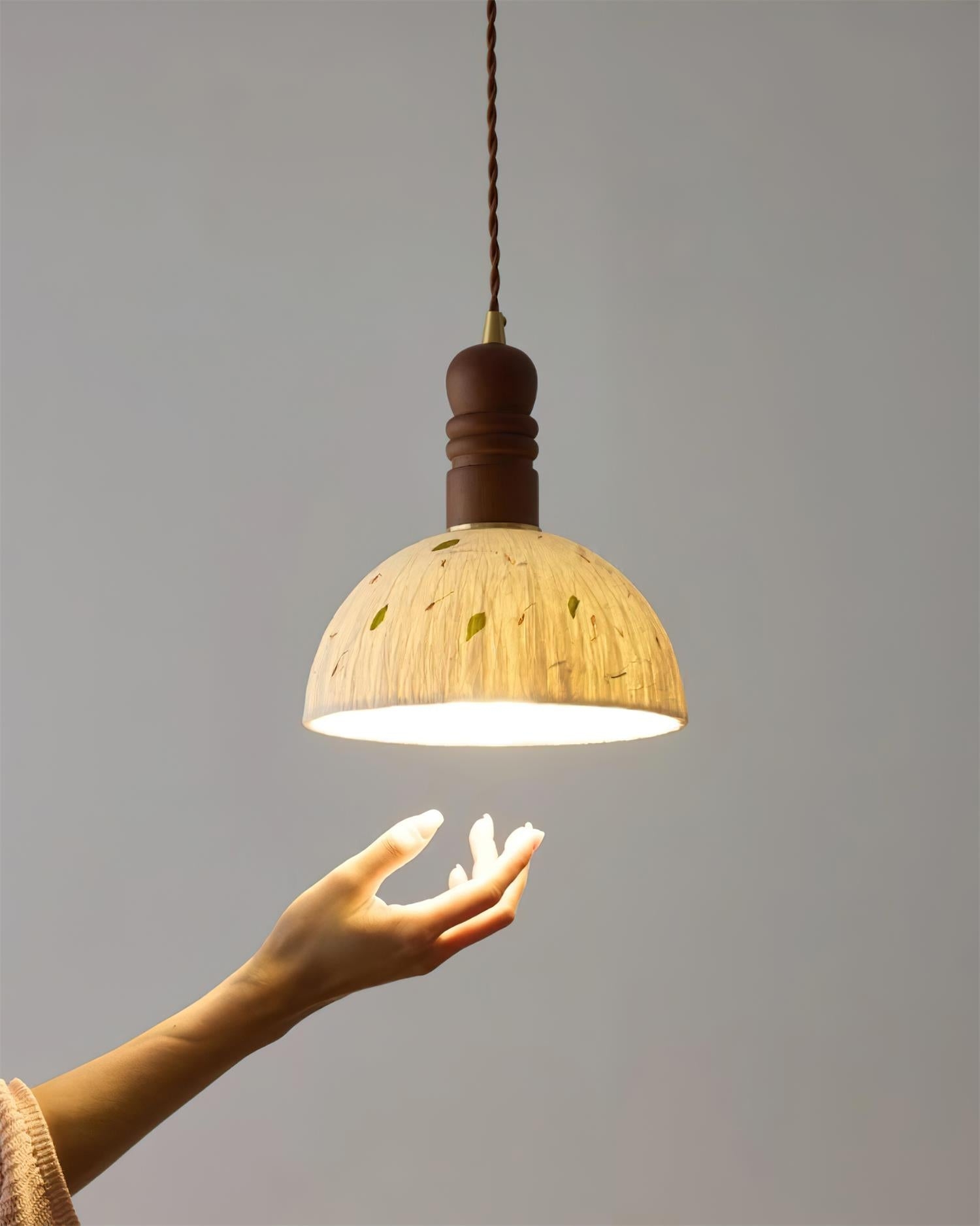 Sylvane Dome Pendant Lamp T1416