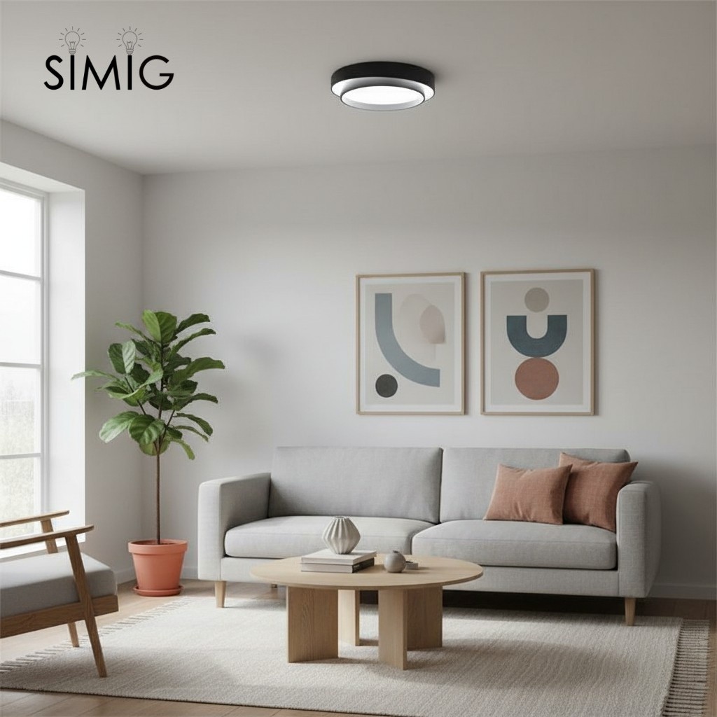 Melody Acrylic Wall / Ceiling Lamp S78