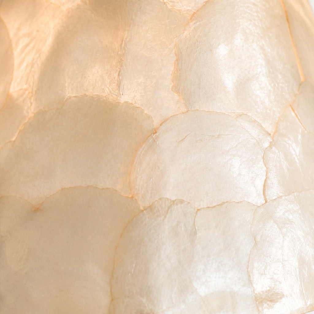 Micahell Capiz Shell Branch Chandelier - Sculptural Coastal Lighting for Modern Interiors T2220