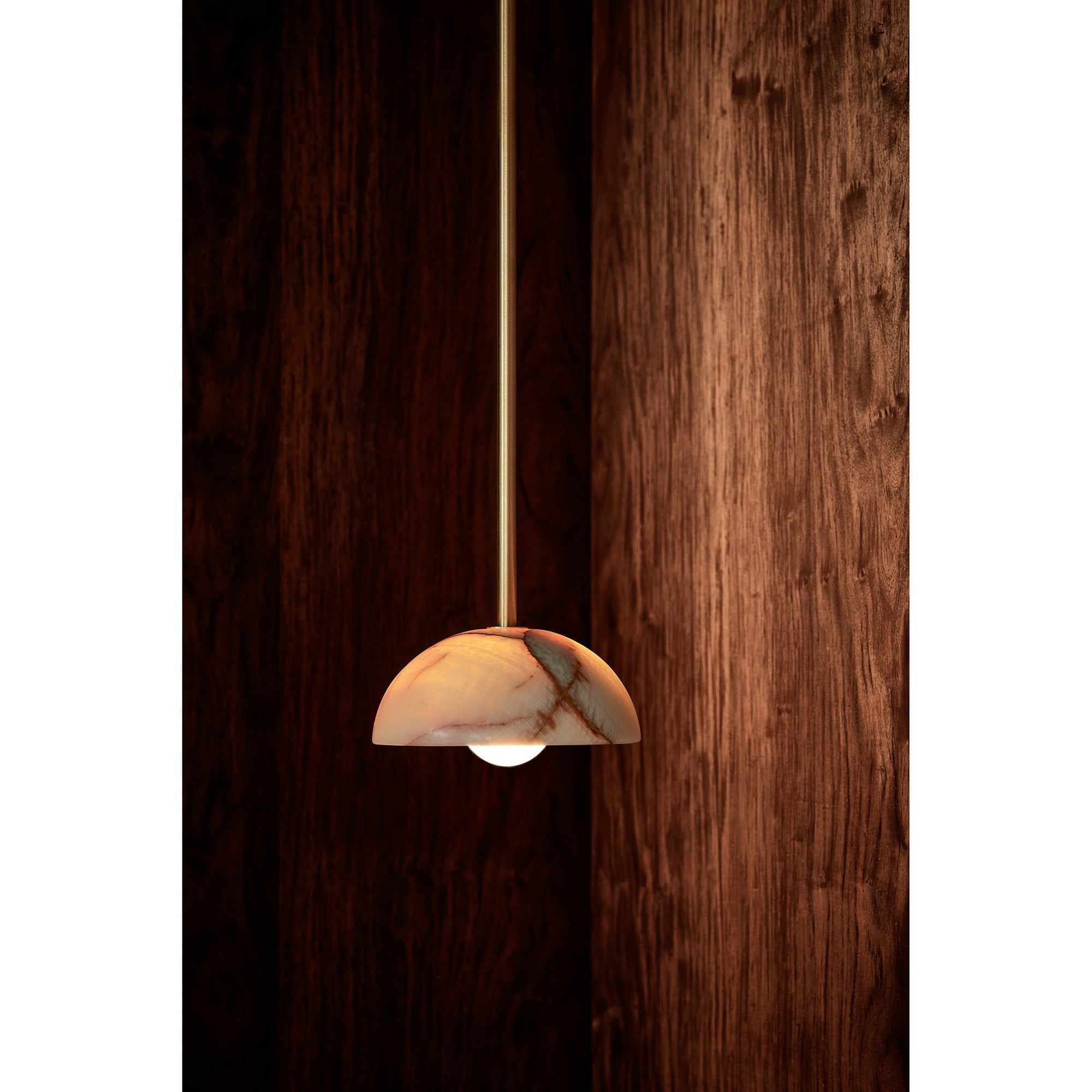 Aurelia Pendant Lamp T1877