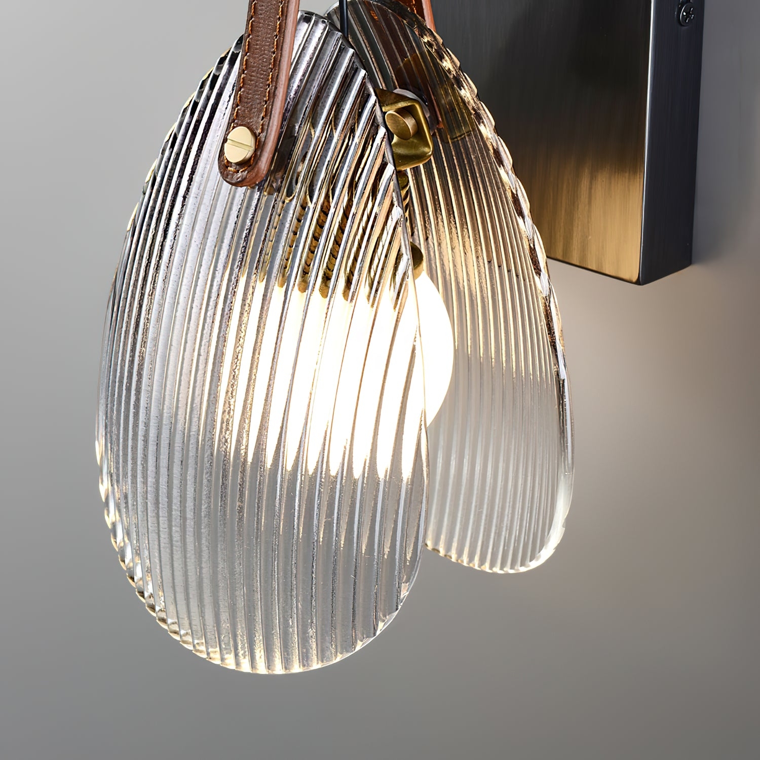 Shell Glass Wall Lamp T1687