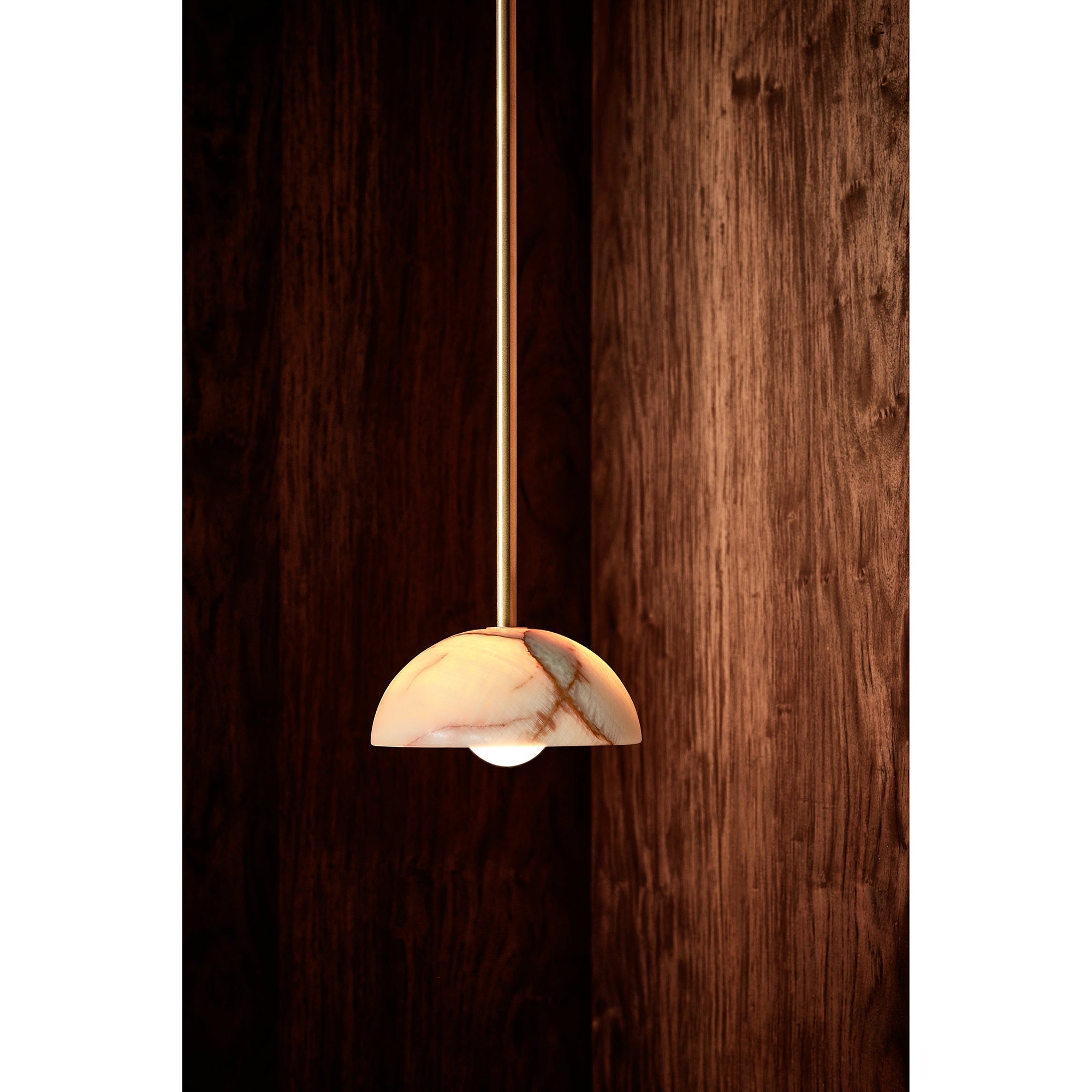 Aurelia Pendant Lamp T1877