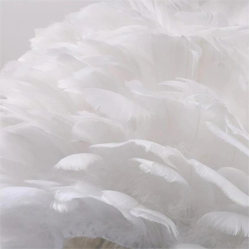 Decorative Feather Table Light For Bedroom
