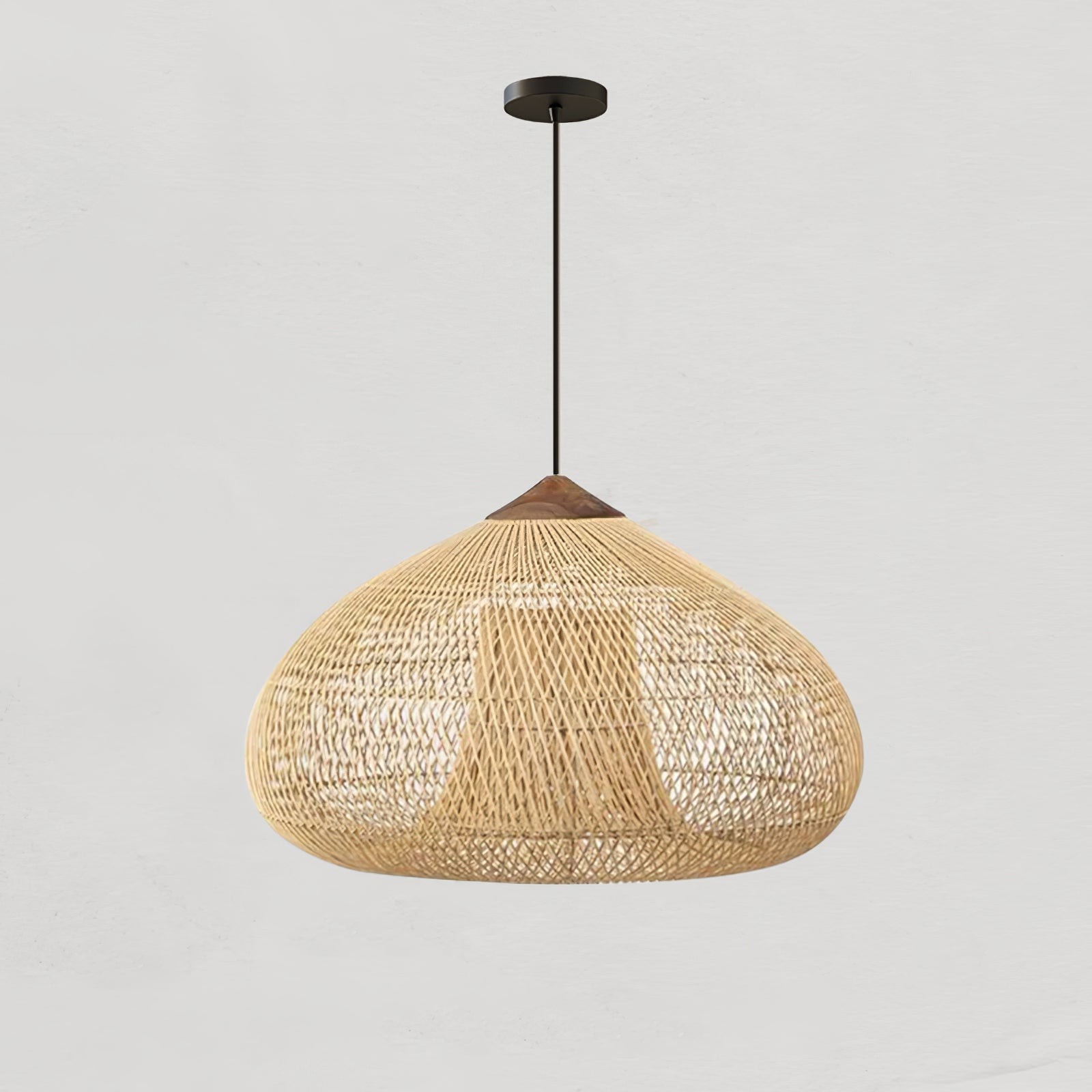 Harp Braided Rattan Pendant Lamp T048