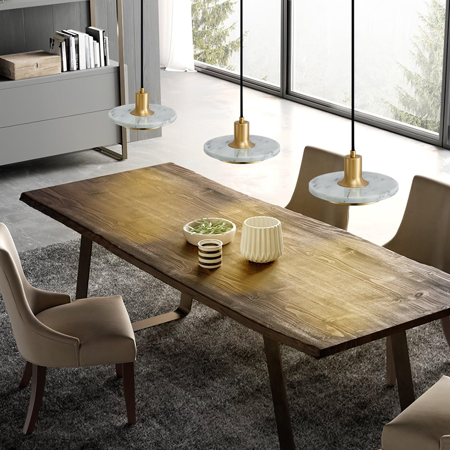 Double Circle Pendant Light M559