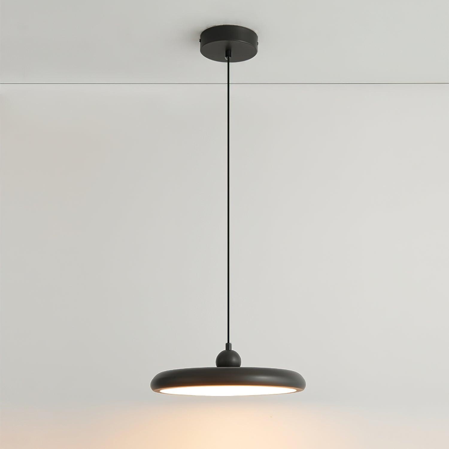Thin Disc Pendant Lamp M404