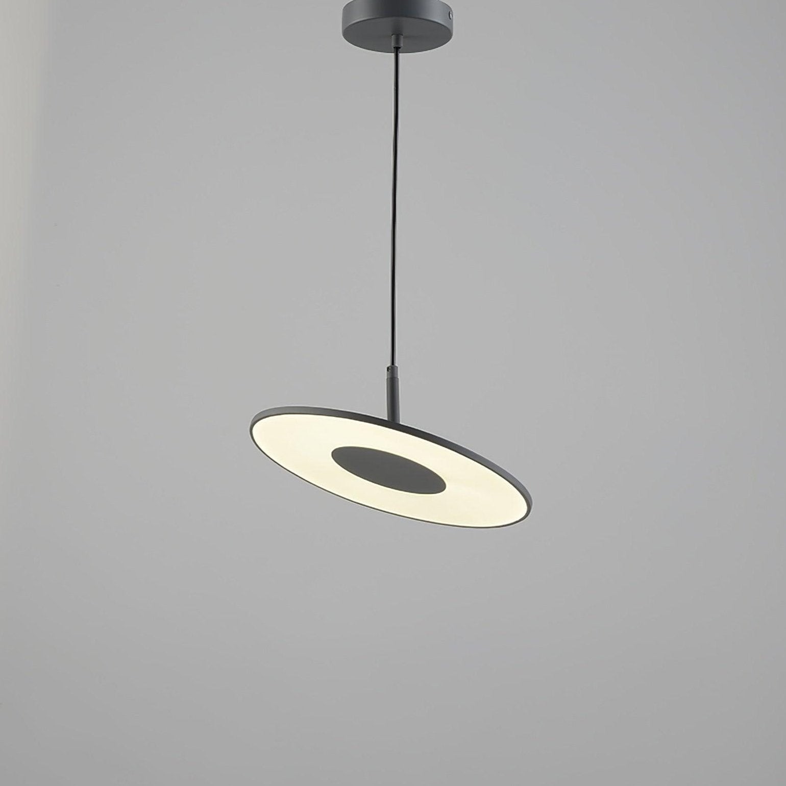 Round Disc Pendant Lamp M378