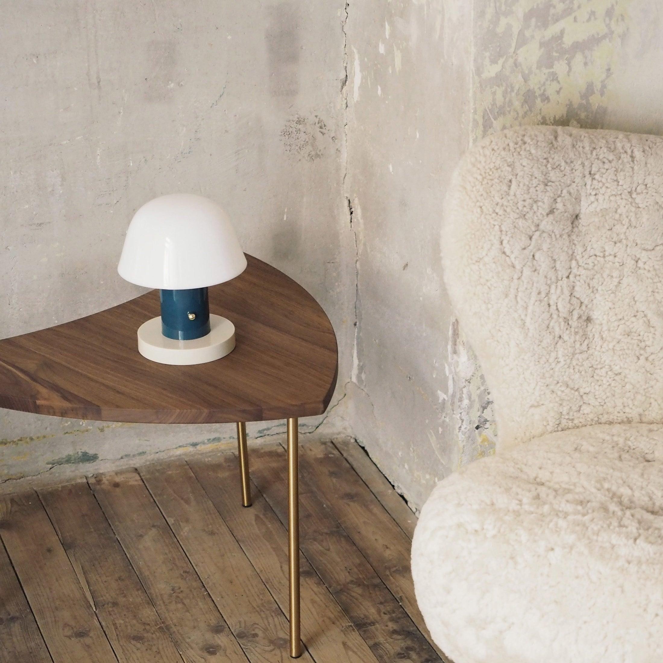 Minimalist Mushroom Cordless Table Lamp M528