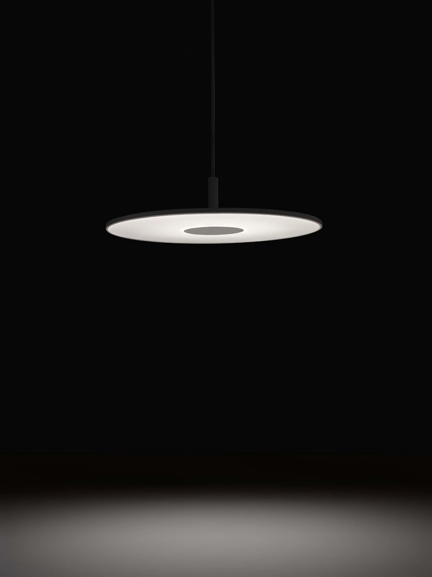 Round Disc Pendant Lamp M378