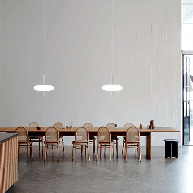 Modern Oval Pendant Light – Metal and Acrylic Pendant Lamp for Living Room