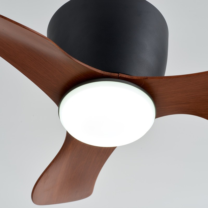 Ceiling Fan with Lights