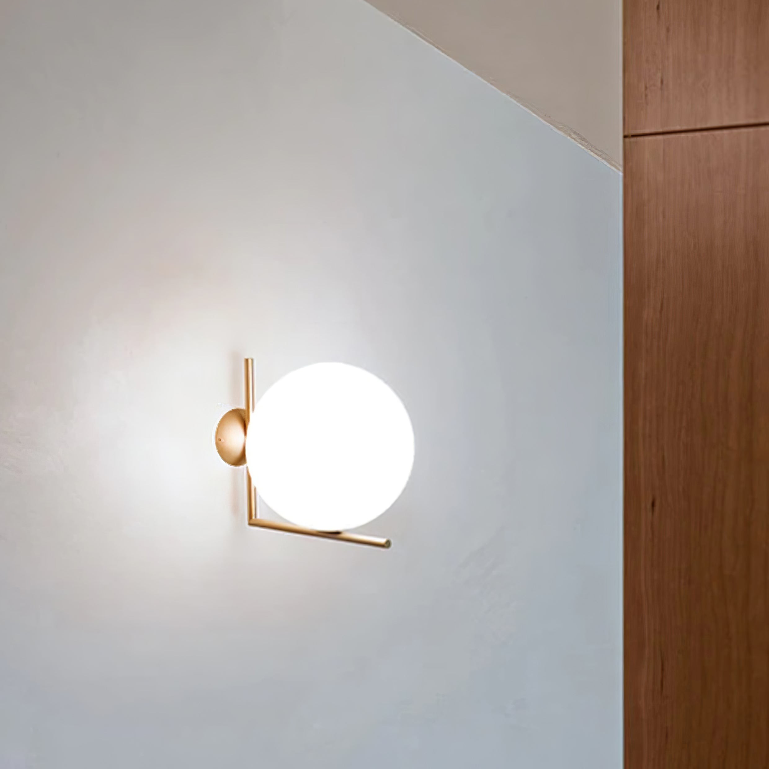Iscalia Wall/Ceiling Light – Globe Design for Living Room