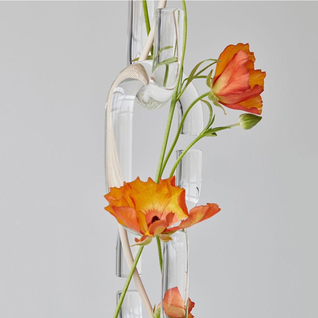 Cerine Pendant Lamp