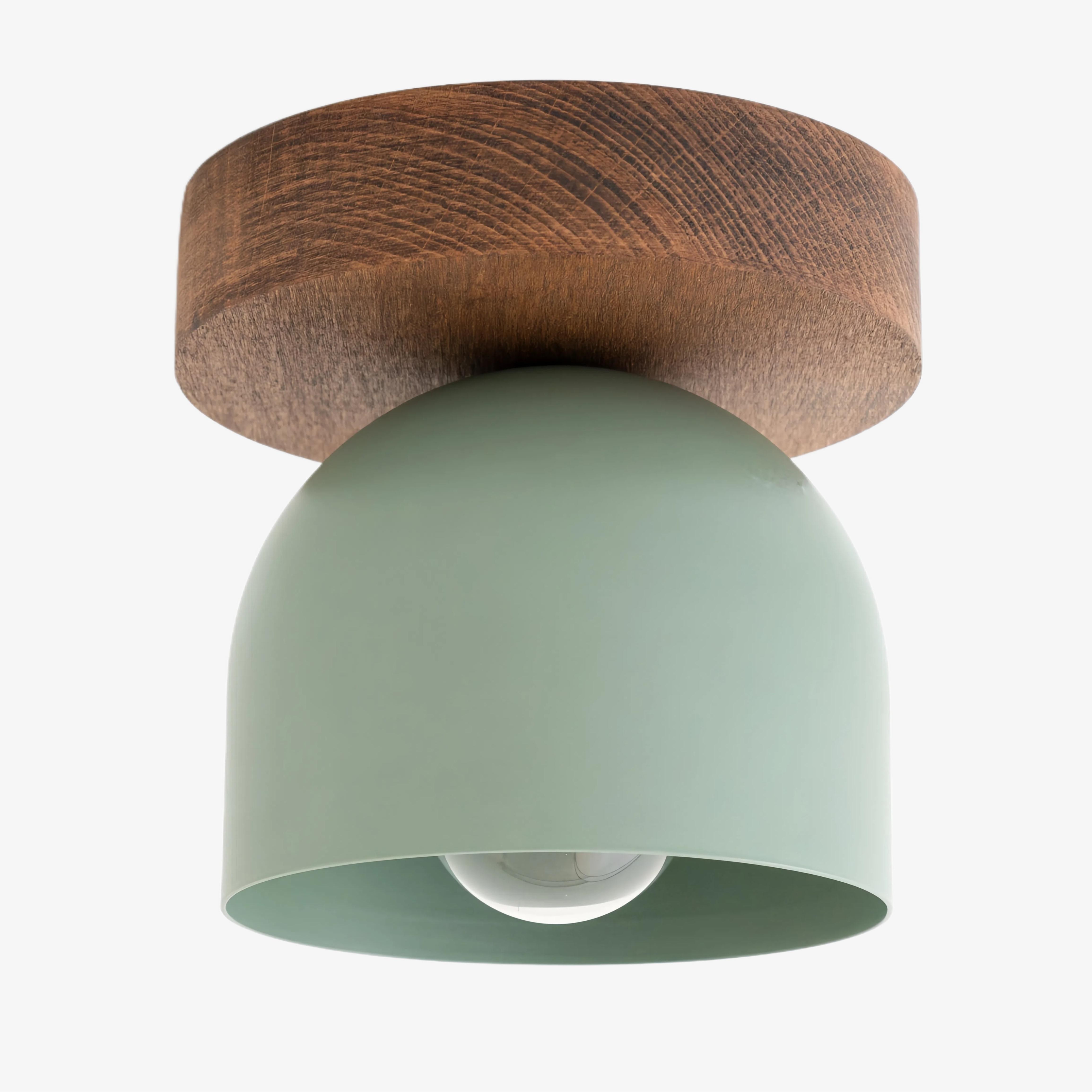 Metio Dome Modern Rustic Ceiling Light - Wooden and Metal Fusion T372