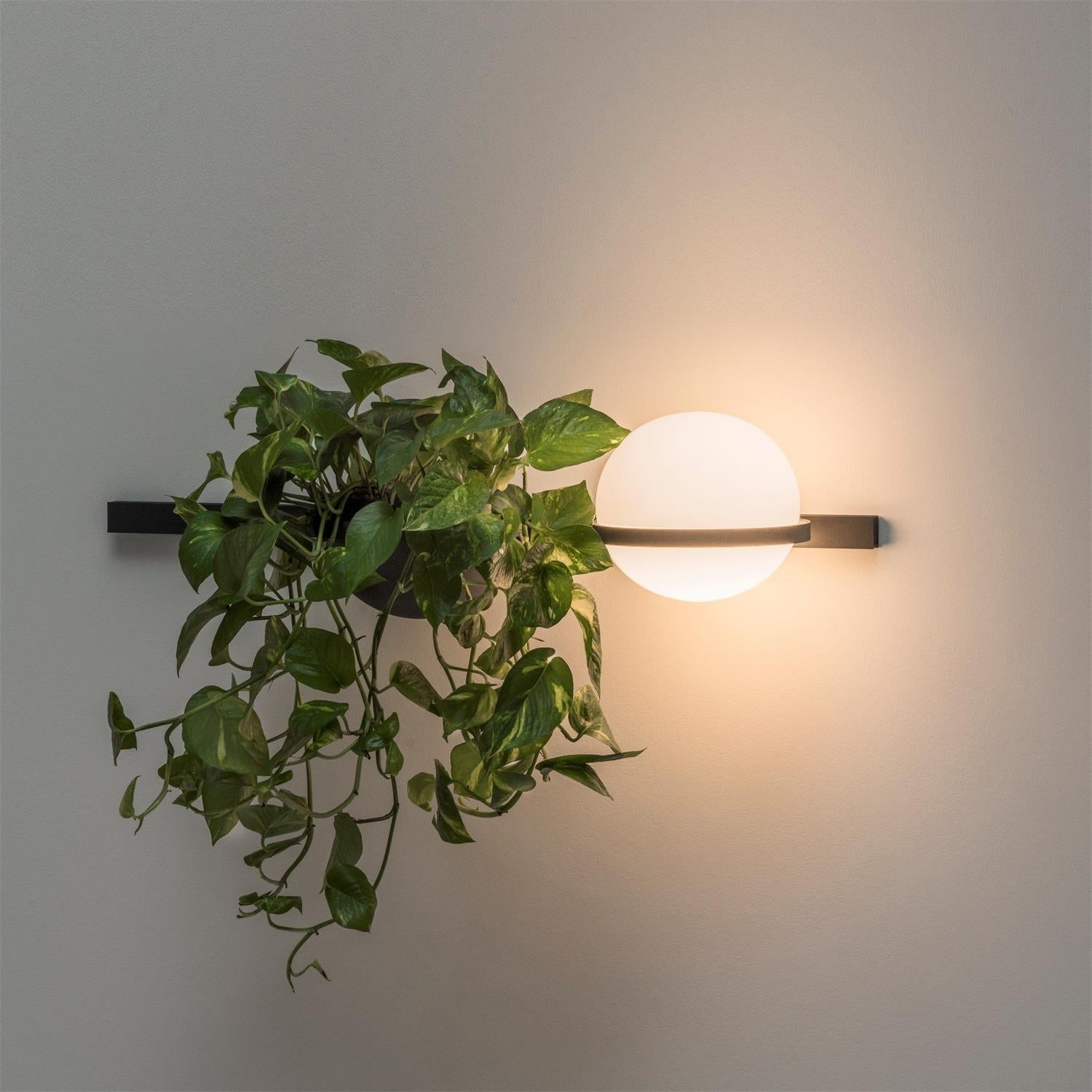 Palma Wall Lamp T1733