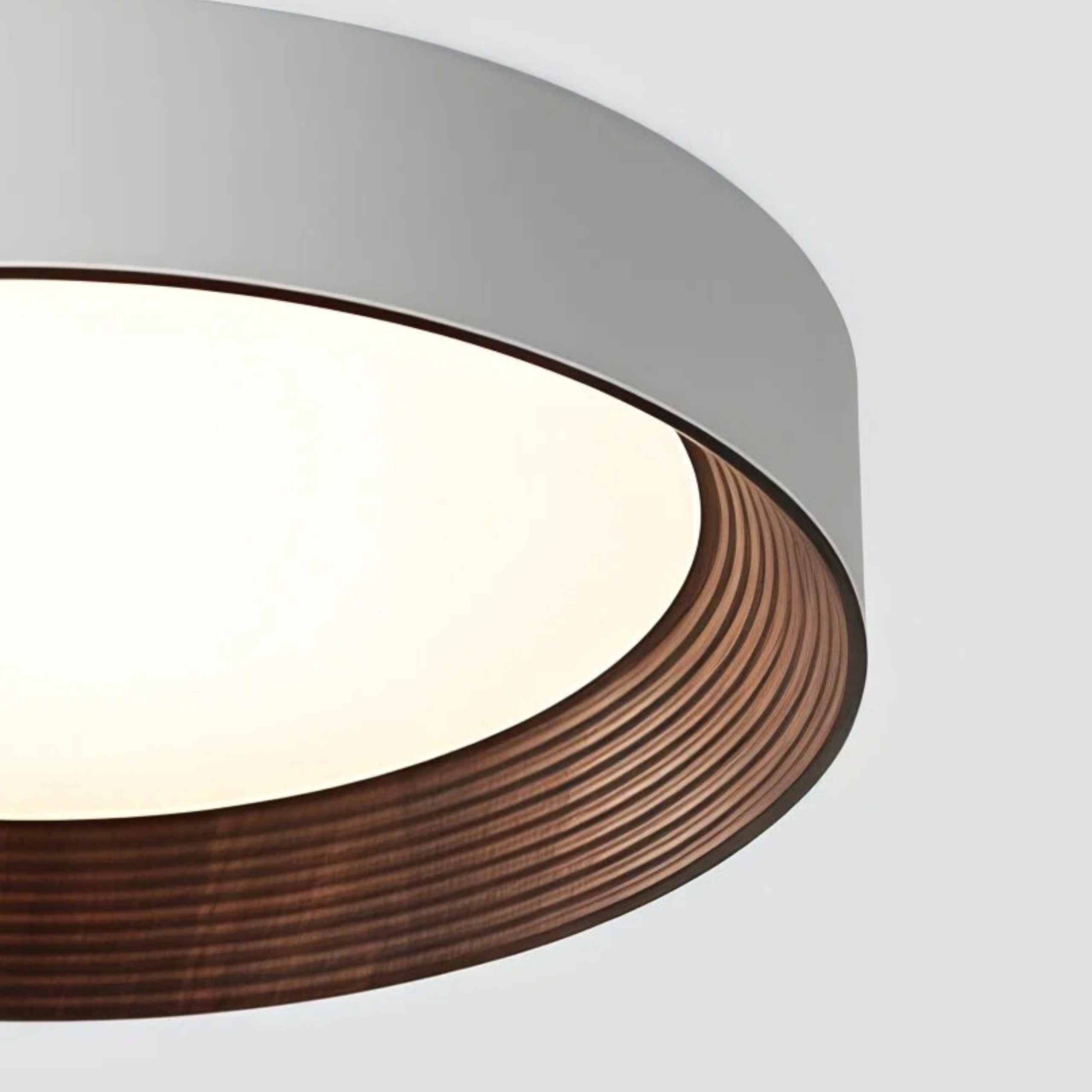 Crelina Contemporary Ceiling Light - Indoor Flush Fixture for Hallway and Dining Area U16