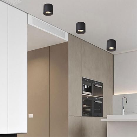 The Futuristic Ring Ceiling Light T2003