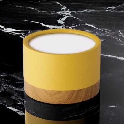 Don Nordic Modern Ceiling Light T2105