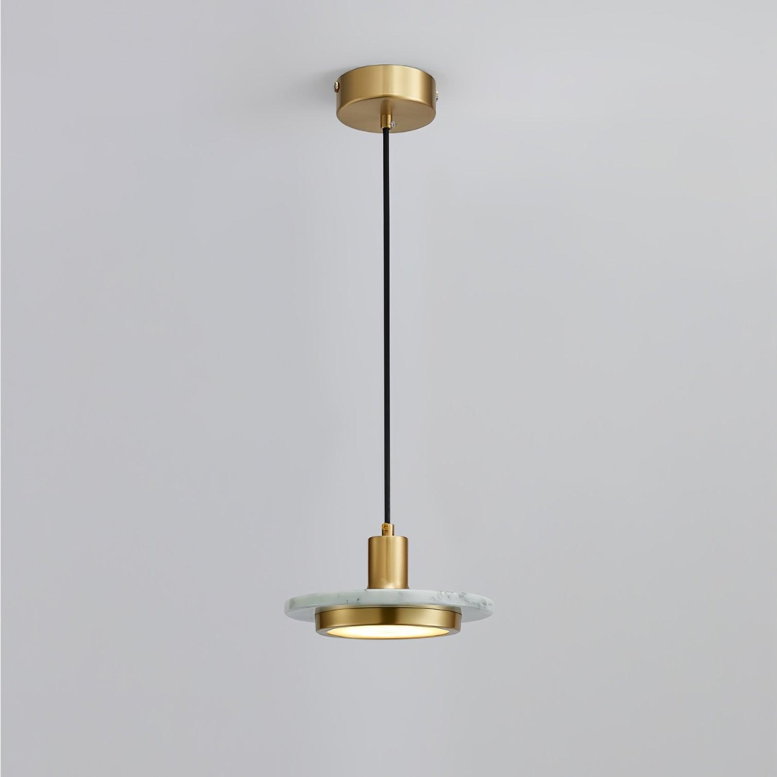 Double Circle Pendant Light M559