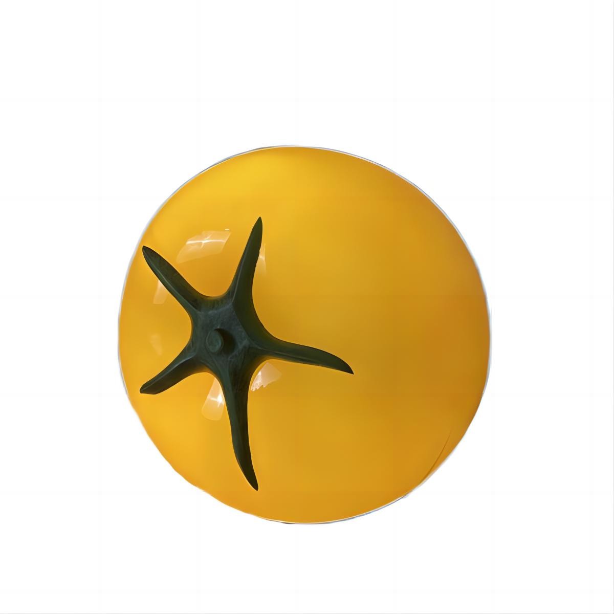 Creative LED Tomato Table Lamp S83