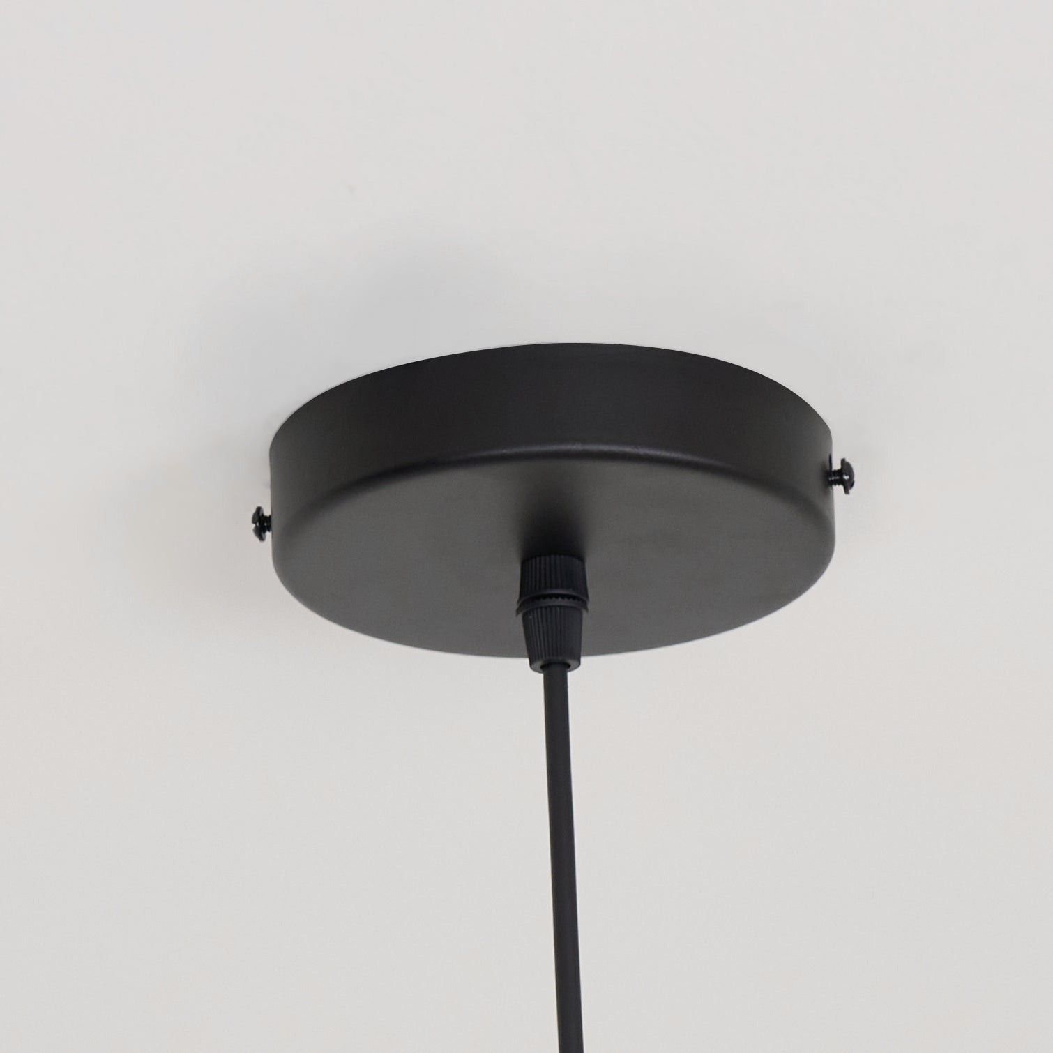 Baer Pendant Light T028