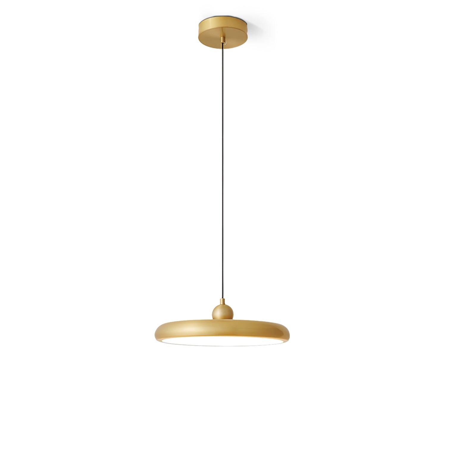 Thin Disc Pendant Lamp M404