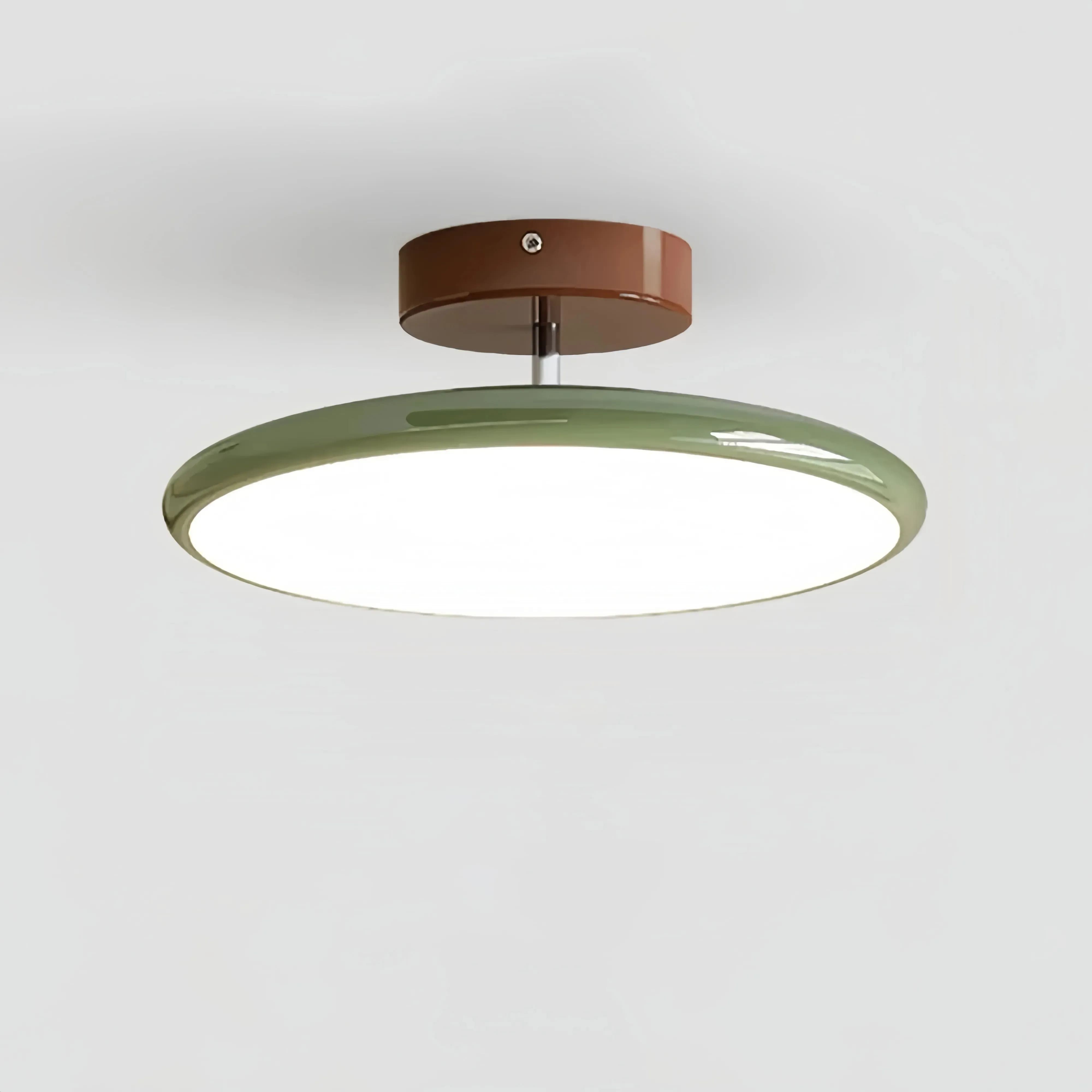 Modern Adjustable Disc Ceiling Lamp M266