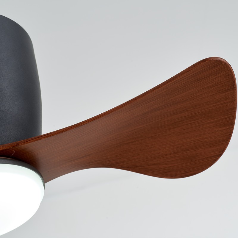 Ceiling Fan with Lights