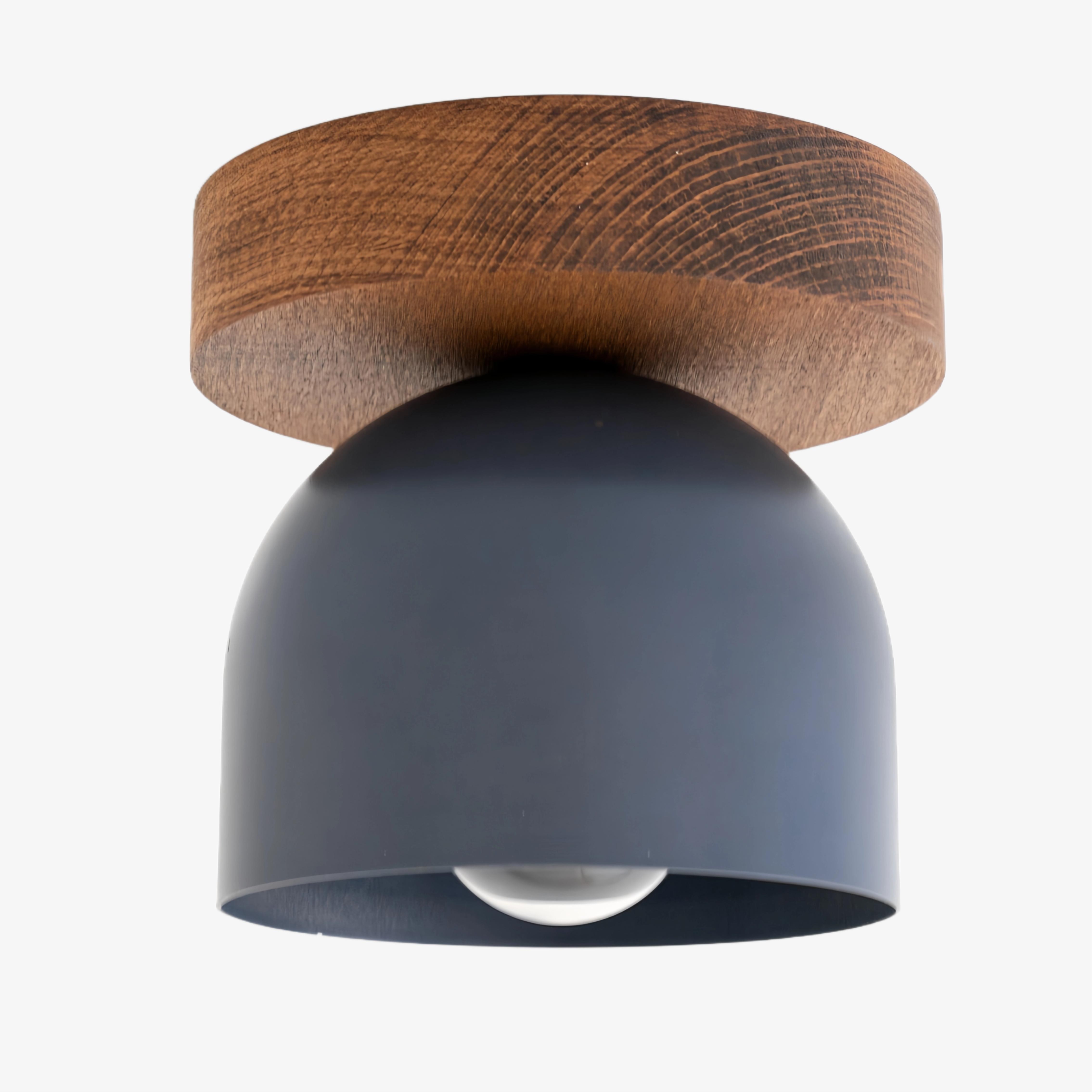 Metio Dome Modern Rustic Ceiling Light - Wooden and Metal Fusion T372