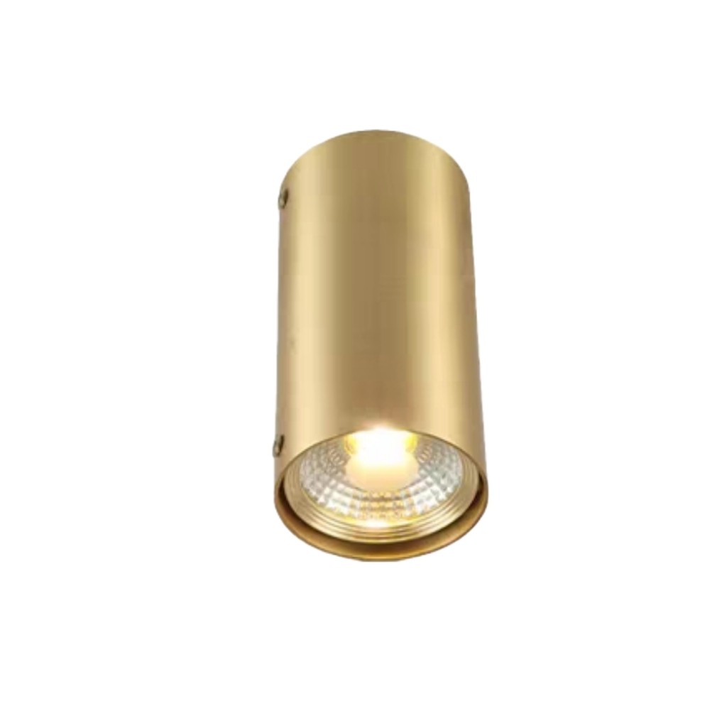 OTELLA Ceiling Spotlight