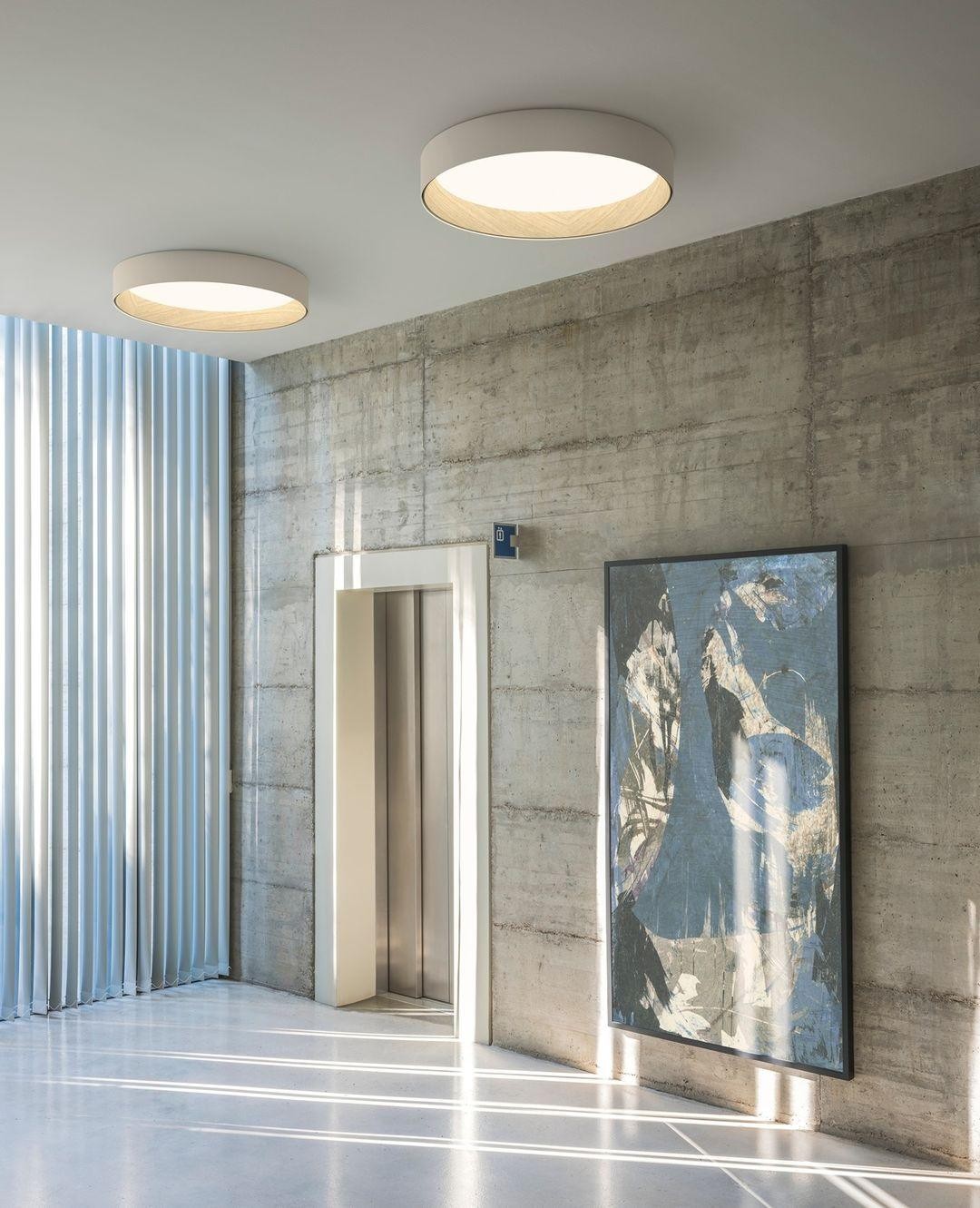 Japanese Minimalist Creative Wood Grain Round LED Ceiling Lamp M321