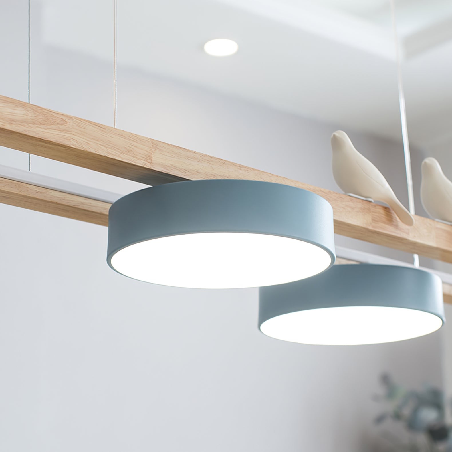 New Style Fashion Bird Long Chandelier M100