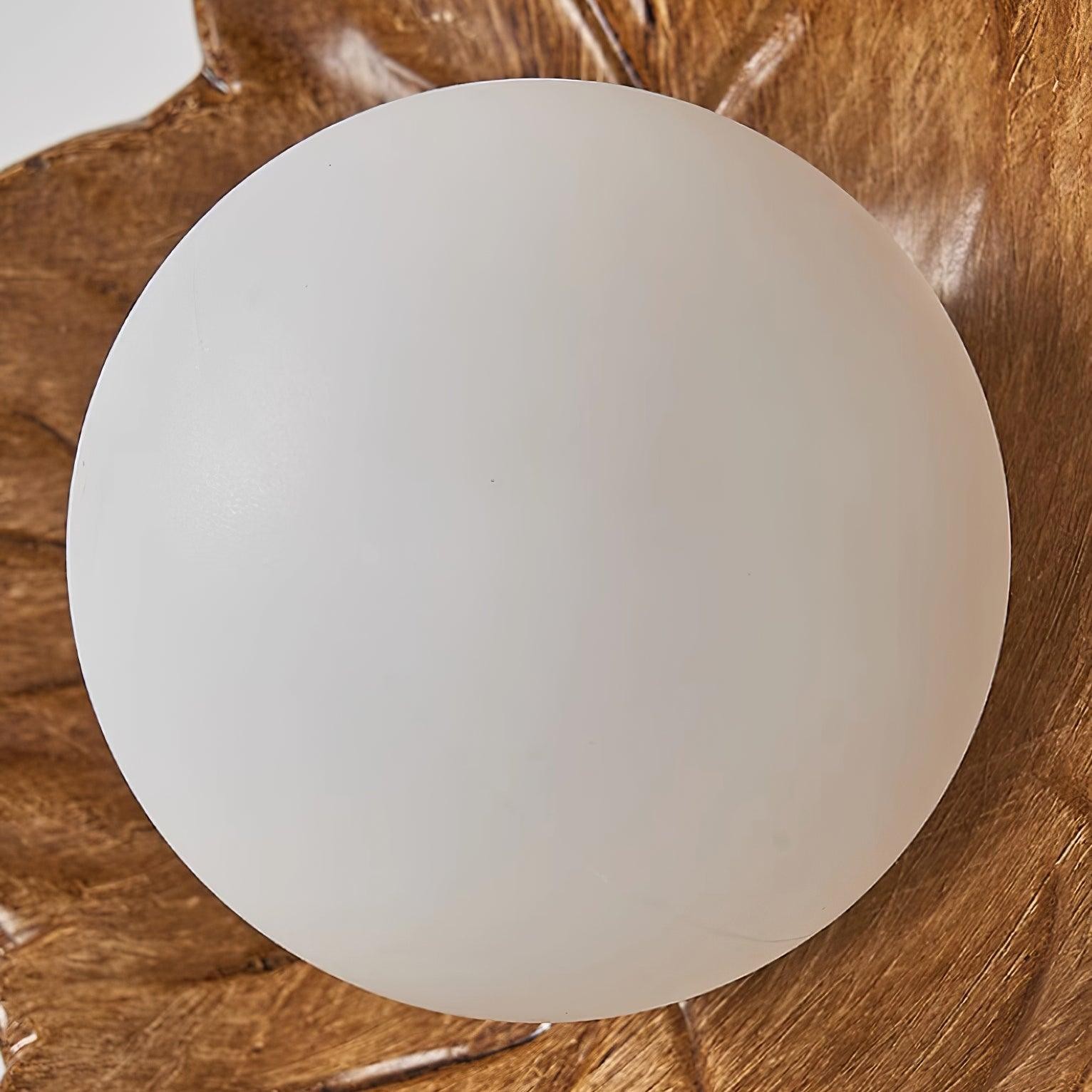 Maple Leaf Wall Light M262