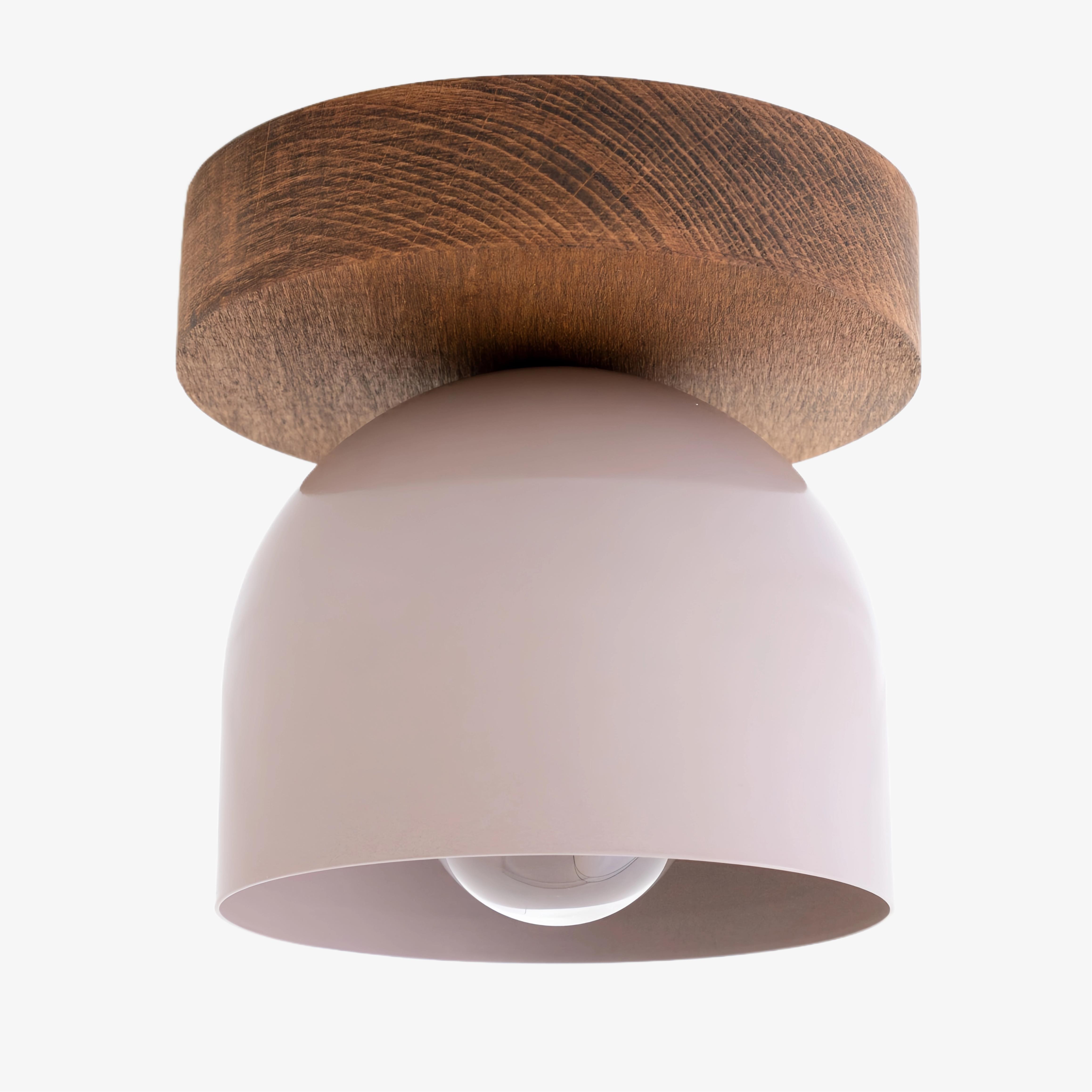 Metio Dome Modern Rustic Ceiling Light - Wooden and Metal Fusion T372