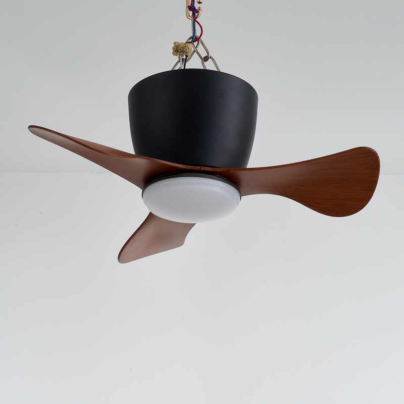 Ceiling Fan with Lights