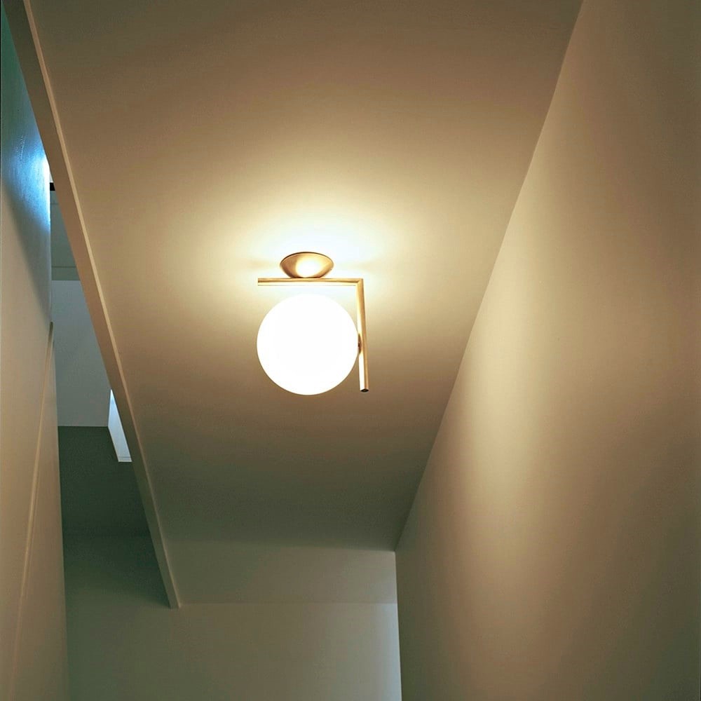 Iscalia Wall/Ceiling Light – Globe Design for Living Room