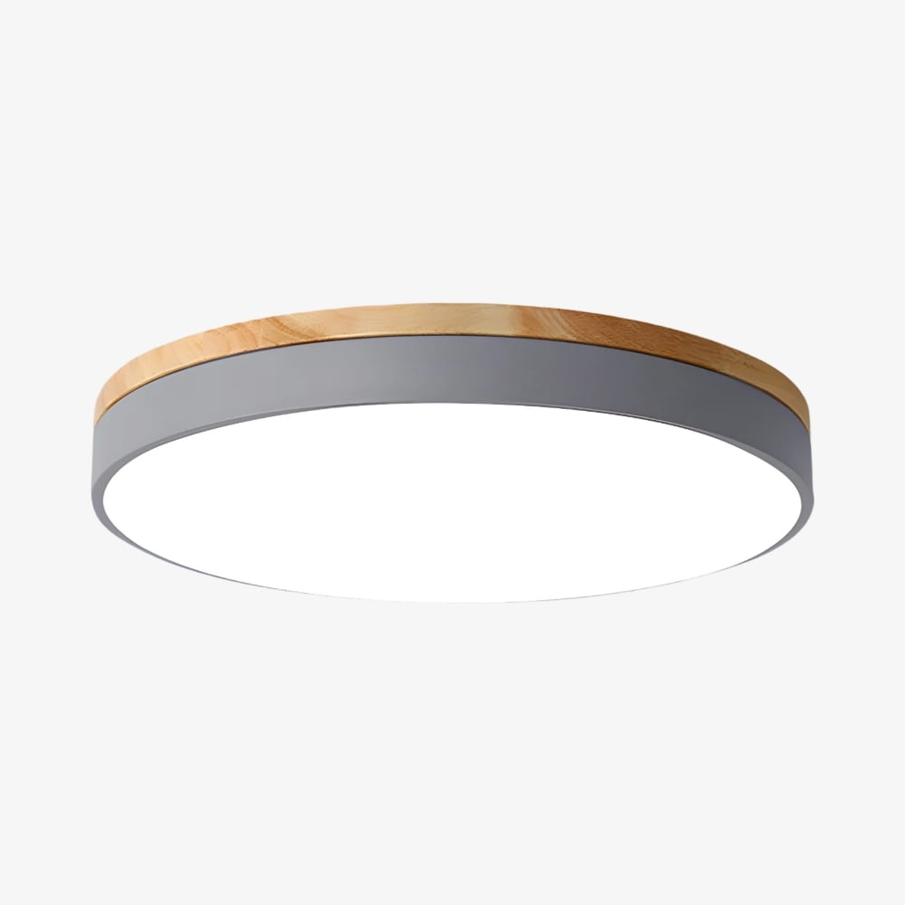 Cielora Round Flush Mount Ceiling Lamp Minimal Profile - Modern Interior Decor T509